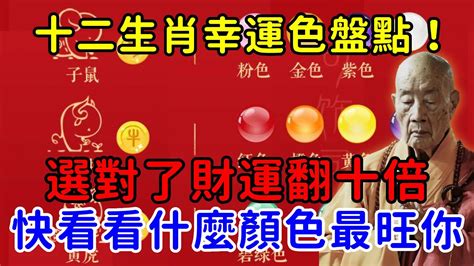 2023屬豬幸運物|十二生肖「幸運數字、幸運顏色、大吉方位」！跟著做。